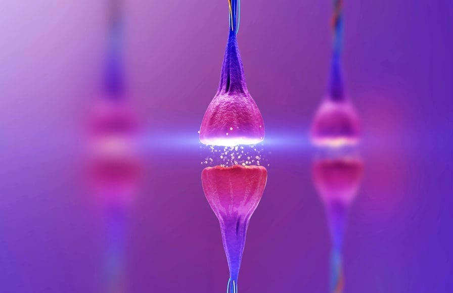 cellular level, positive connection, positivity, wellbeing, wellness, mindbodysoul, health, artofliving, PureEsperanza
